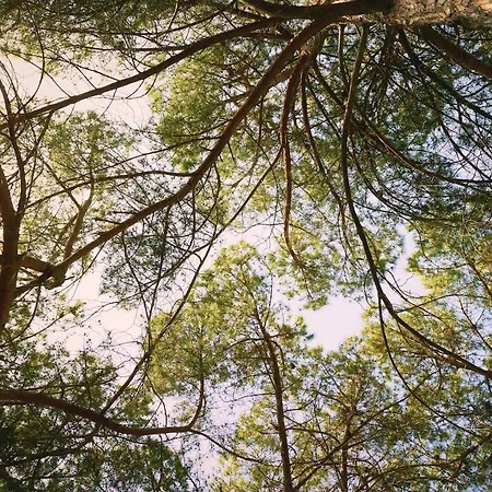 Charming 200m From The Sea * 콰르투 산텔레나